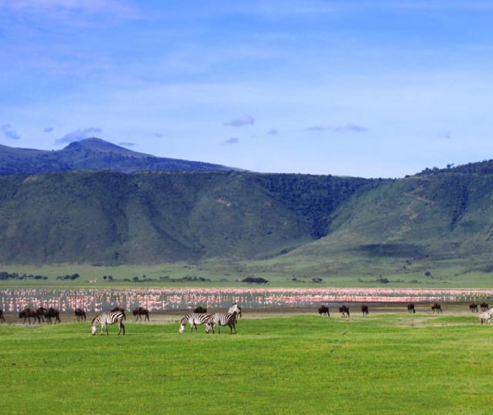 Ngorongoro Safari