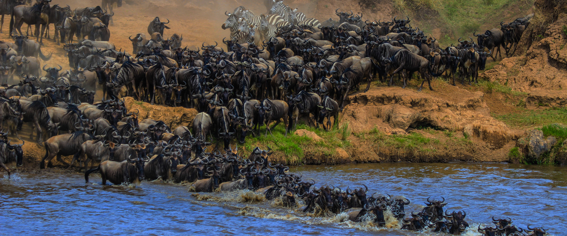 8-Day The Best Migration Mara River Crossing